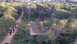 Interview : Docteur Mamadou Diop, sociologue-environnementaliste