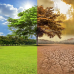 Changements climatiques