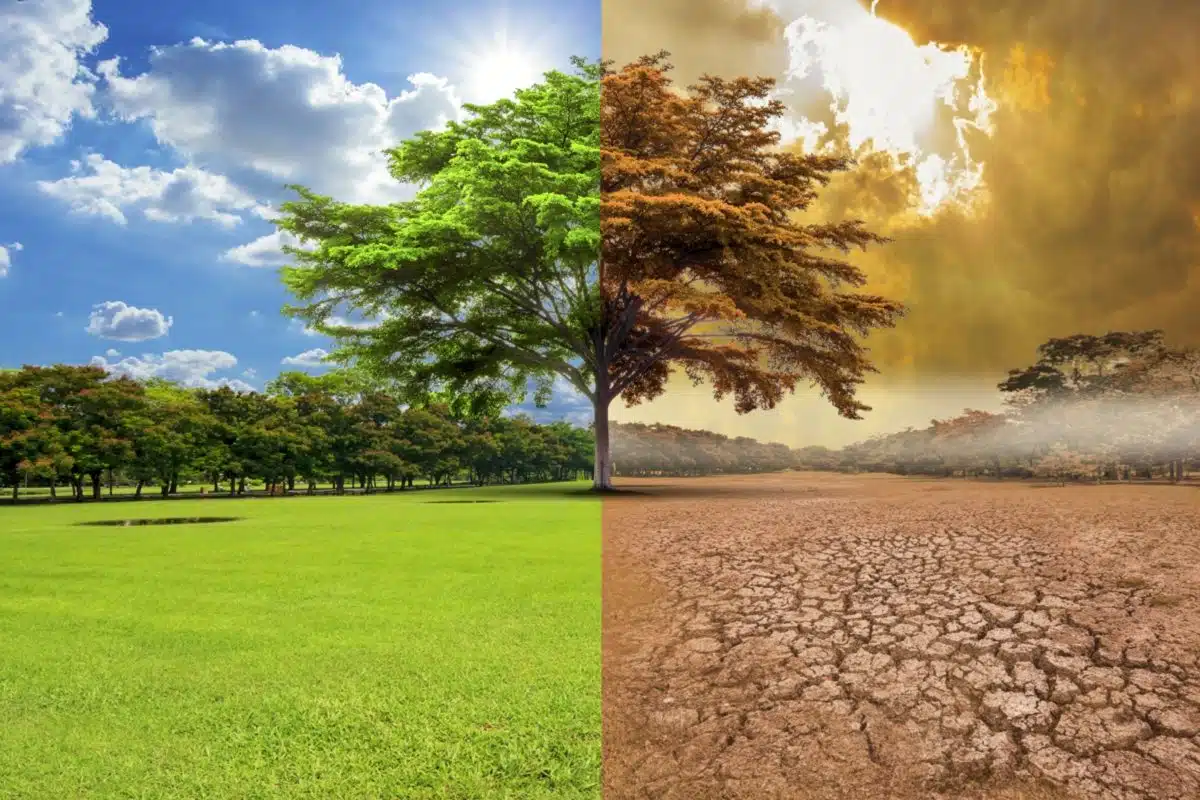 Changements climatiques
